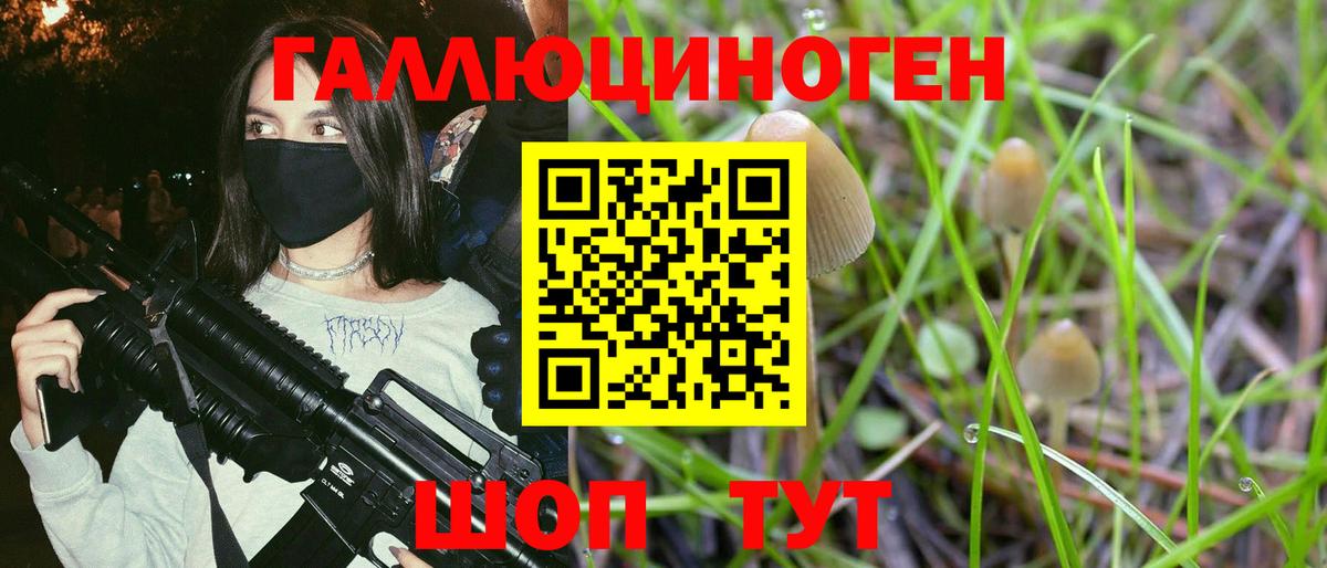 Снежинск  Галлюциногенные грибы Cubensis  Вход с VPN  Галлюциногенные грибы GOLDEN TEACHER 